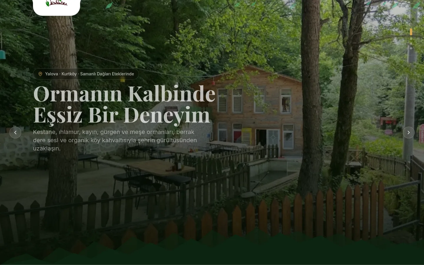 ormanika.com ana sayfa ekran görüntüsü